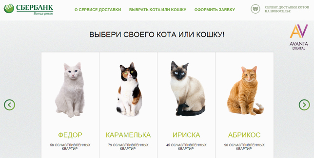 креативная digital-кампания Sber_cats_3.jpg